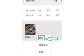 微信视频号如何分享转发——让你的精彩内容被更多人看见