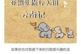 挑战涨粉1万粉丝要多久？破解社交媒体涨粉的秘密！