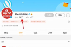 微博如何快速涨粉：实用技巧与策略指南