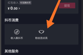 抖音粉丝积分暴涨秘籍｜普通人也能月涨10万活跃粉的底层逻辑