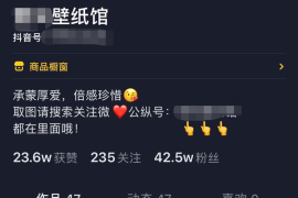 如何玩抖音短视频赚钱：普通人也能实现月入过万的秘诀