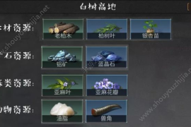 微博问答怎么提问？教你轻松获取精准答案的秘诀