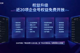 网盟推广效果翻倍的秘密：90%企业不知道的实战技巧