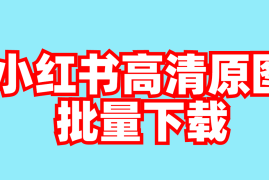 如何获得小红书壁纸权限？轻松教你快速上手！