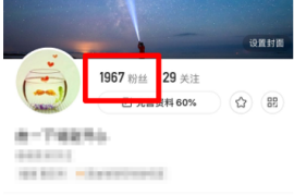 如何在快手上查看粉丝数据，掌握你的影响力！
