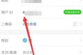 如何设置自己的快手号，展现独特个性！
