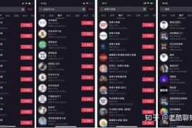 抖音引流推广实战指南：从养号到变现的流量密码
