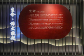 陌陌登录多久涨一级粉丝？快速提升粉丝技巧全揭秘！