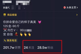 微信涨粉丝多久能到账呢？揭秘背后的秘诀与实战技巧