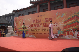 懂车帝的视频如何拍？揭秘创作背后的秘诀与技巧