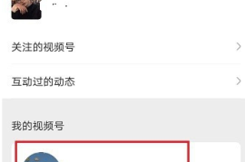微信如何取消视频号功能：详细教程与实用方法