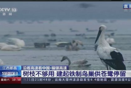 如何开通微博直播，快速吸引上万粉丝的秘诀