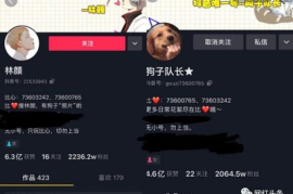 如何轻松开启抖音直播，赚取粉丝与收益