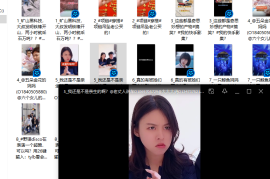 电脑如何看快手，畅享精彩短视频体验