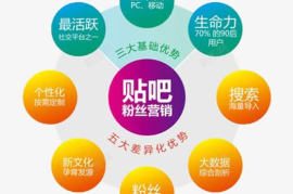 涨粉丝到一千要多久？揭秘最有效的增长策略！