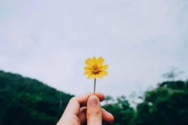 快手怎么取消关注的人？一步步教你轻松操作！