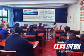 快手如何查看对标账号：精准分析，提高创作效果的秘诀