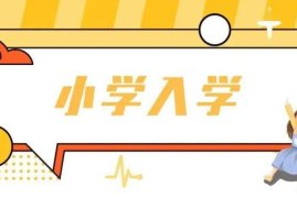 如何查看已收藏的微博？一篇详细指南教你轻松搞定