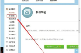 微博关注自动回复怎么设置？让你轻松与粉丝互动！