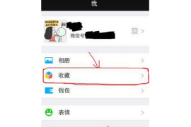 如何查询微信视频号功能，轻松掌握视频号的使用技巧