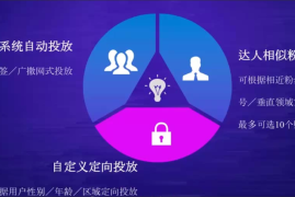 如何快速提升抖音粉丝数？揭秘粉丝增长的最佳时机