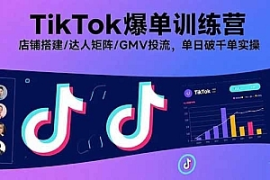 抖音流量密码全解析｜从冷启动到爆单的实战手册