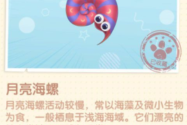 油管怎么刷播放？提升视频曝光，快速增加观看量的秘密技巧