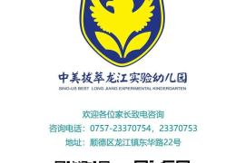 视频怎么双刷播放：提升观影体验的全新玩法