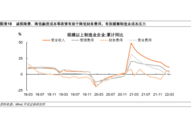 国外怎么看B站？B站的全球化进程与国际观众的视角