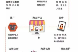 微博网红如何赚钱？揭秘背后的盈利模式