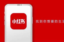 小红书粉丝量多久会涨？揭秘快速增长的秘诀