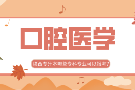 抖音直播怎么直播，快速上手指南