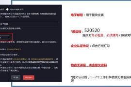 如何在抖音上开通蓝V认证？详细指南，让你轻松提升品牌价值！