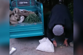 微博如何退出登录？轻松掌握登出技巧