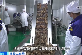 头条涨一万粉丝要多久？揭秘快速增长的秘密方法！