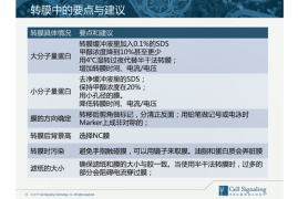 怎么养微博实时号：实操技巧与运营指南