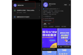 如何结束微信视频号直播的技巧与策略