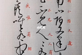 小红书照片怎么写字：轻松打造精致图片的秘籍