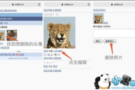 如何删除微博相册？一份详细且易操作的指南