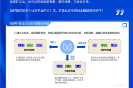 如何运营视频号方案策划