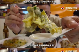 做博主多久能涨粉丝最快？揭秘成功的核心技巧！