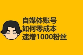 瞬间涨五百粉丝要多久？揭秘快速增加粉丝的秘诀！