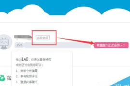 B站怎么转正？快速转正技巧全攻略，轻松成为正式会员！