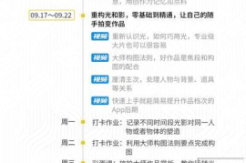 如何做好视频号：从入门到进阶的实用指南