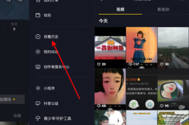 抖音如何查看历史记录，让你不错过任何精彩瞬间