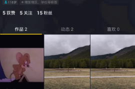 抖音如何加音乐：轻松玩转视频背景音的秘诀