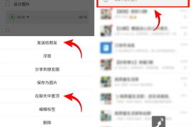 如何查看已删除的微博？快速恢复你关心的内容！