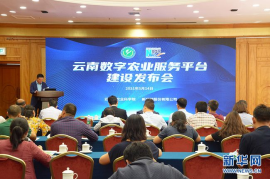 上热门涨一千粉丝要多久？揭秘社交平台增长的秘密
