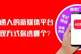 小红书群聊怎么加人？最全攻略带你轻松上手！