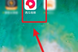 西瓜视频怎么播放视频？详细教程助你轻松掌握！